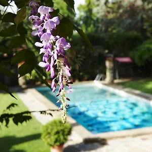 **** Otel Park Palace İtalya